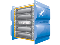 Bespoke Hosting