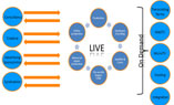 Streaming Tank Workflow Diagram